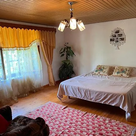 Homestay Goni