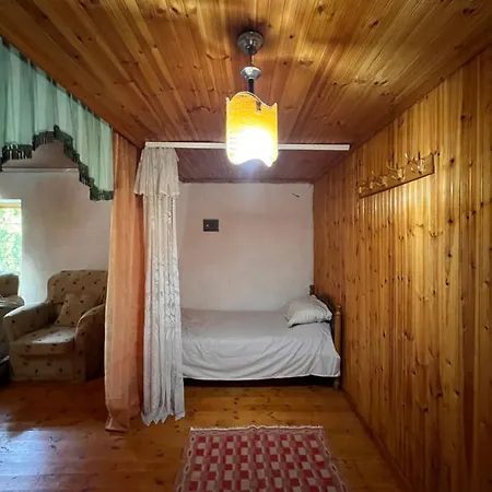 Goni Homestay *