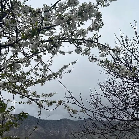 Goni Kwatera prywatna