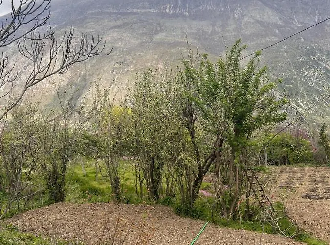 Homestay Goni Tepelene